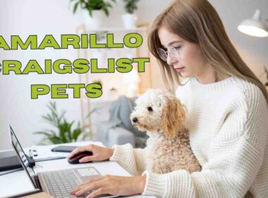 Amarillo Craigslist Pets