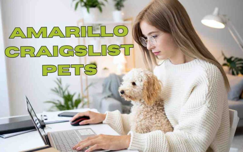 Amarillo Craigslist Pets